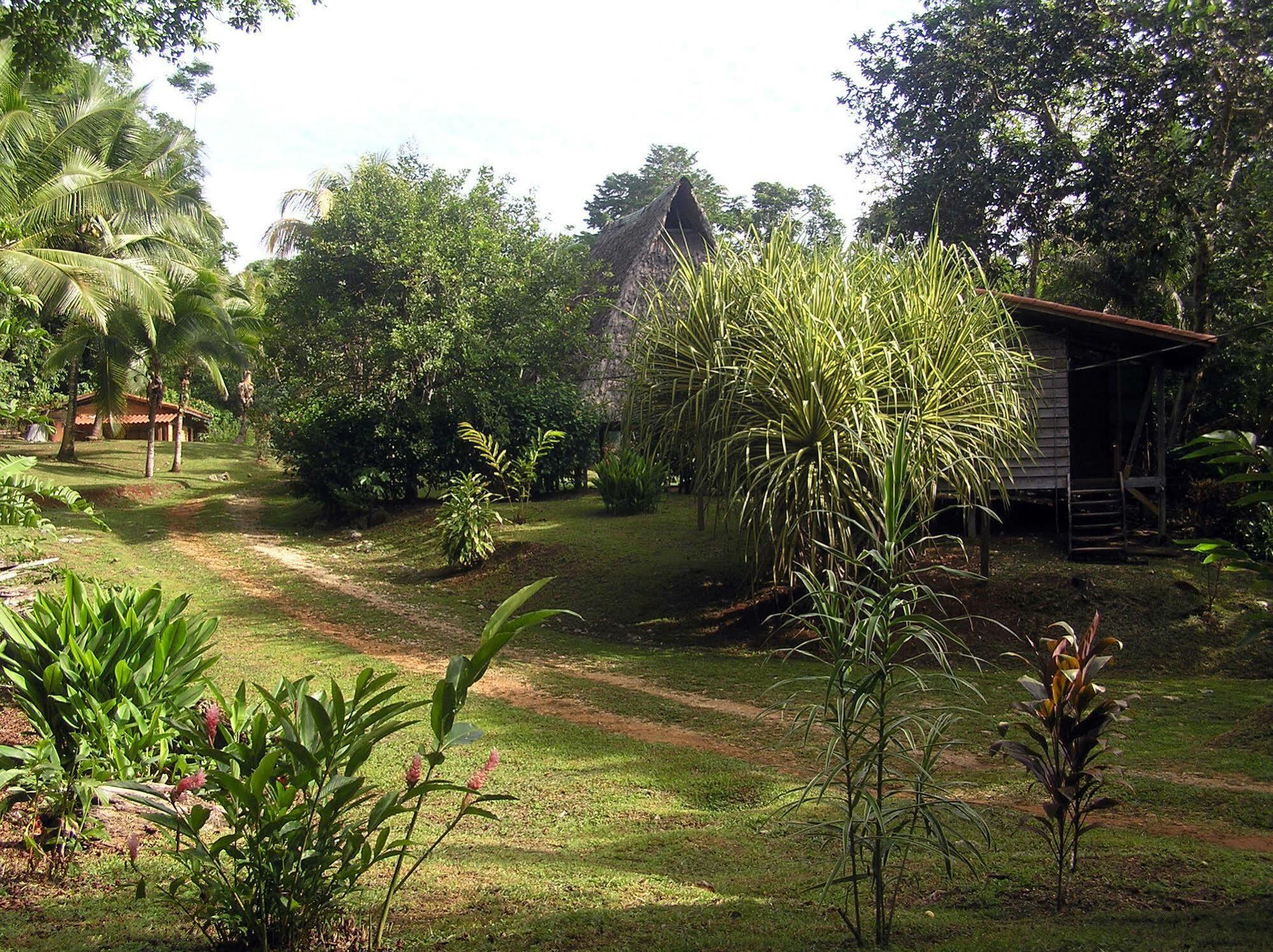 Suital Lodge Mogos Exterior foto